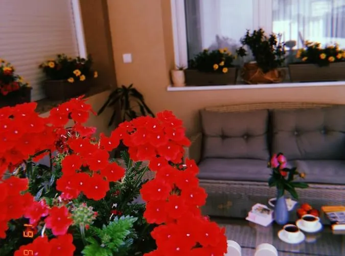 公寓 Jela Nova Varoš