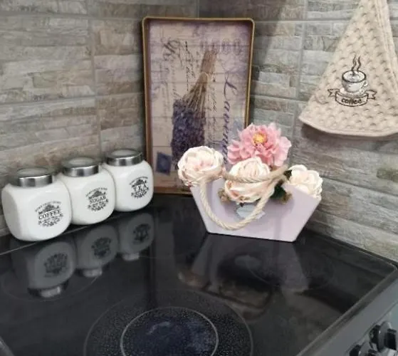 公寓 Jela Nova Varoš